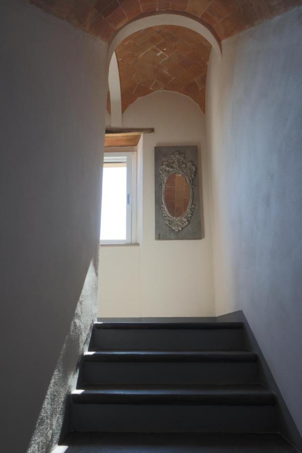 B&B La Taccola Castelnuovo di Val di Cecina Exterior foto